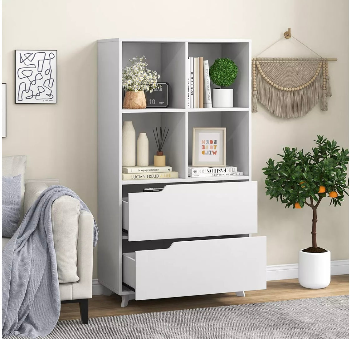 2 Drawer White Cube Storage Organizer